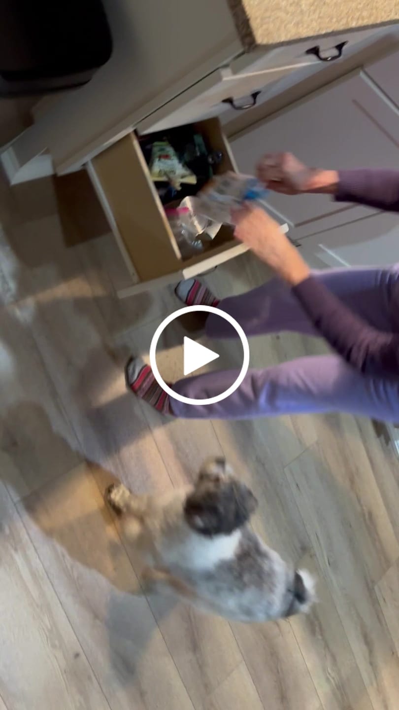 Customer video review of Ostrich Bites with Grapefruit (3oz): The Tasty, Immune-System Supporting Treat for Dogs