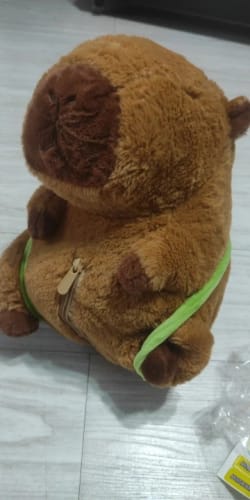 Customer photo review of Capybara Plush With Turtle Backpack