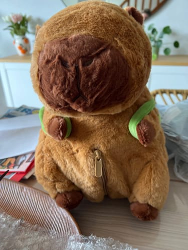 Customer photo review of Capybara Plush With Turtle Backpack