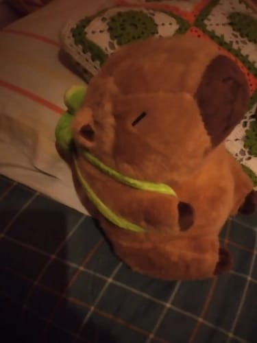 Customer photo review of Capybara Plush With Turtle Backpack