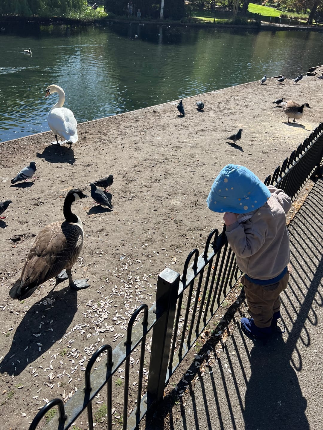 Customer photo review of Dawn Reversible Sunhat