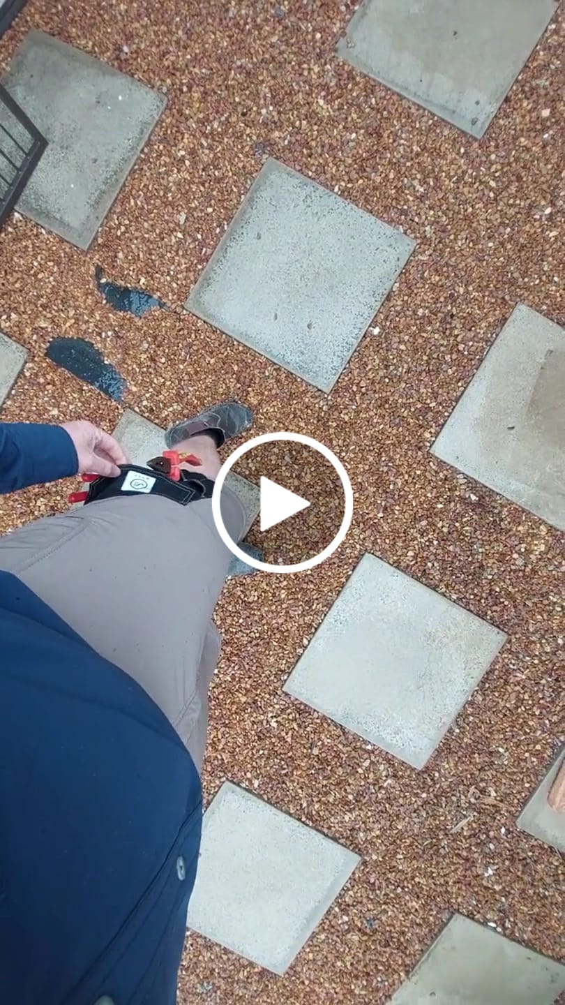 Customer video review of W.O.R.K Technical 4 Way Stretch Short Cream