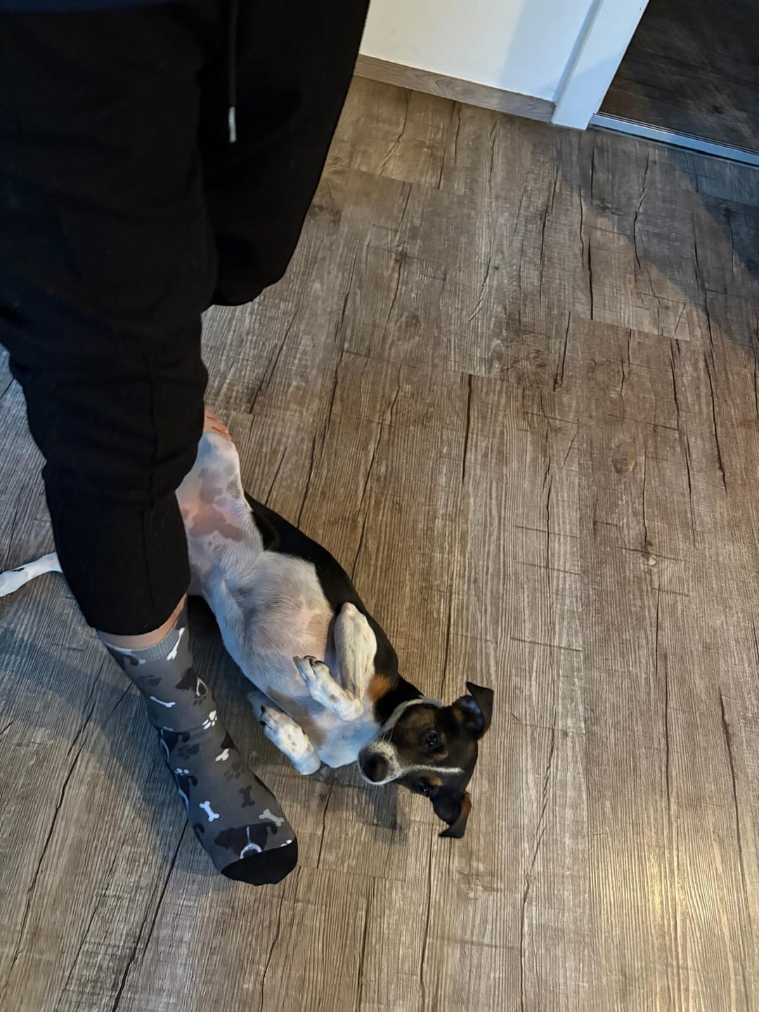 Customer photo review of Personalisierte Socken - Dein Foto