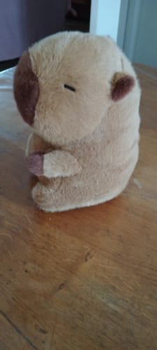 Customer photo review of Capybara Plush With Turtle Backpack