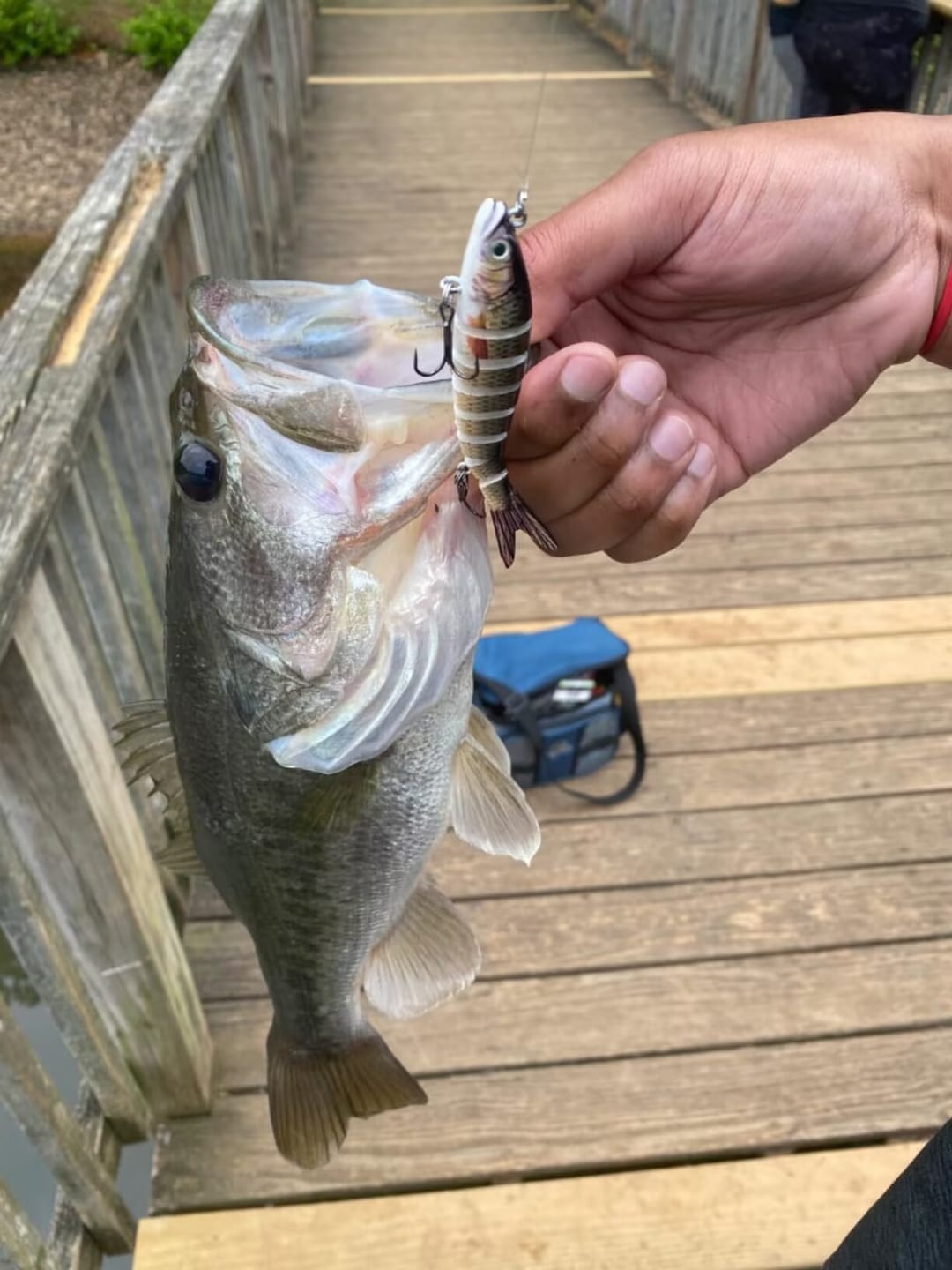 Customer photo review of TRUSCEND Swimmax Fishing Lure with BKK Hook， Easy Catch: Wiggling, Vibrating, Rattling with Noise, Heavy-Duty Dyneema Fiber Jointed Swimbait for Bass, Trout, Crappie，Ideal for Family Fishing [WM]