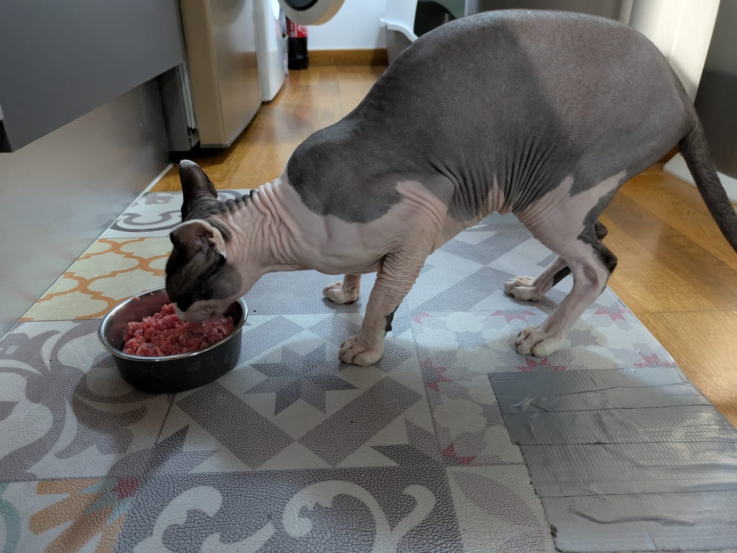Customer photo review of Menú BARF Conejo para gato - 500g