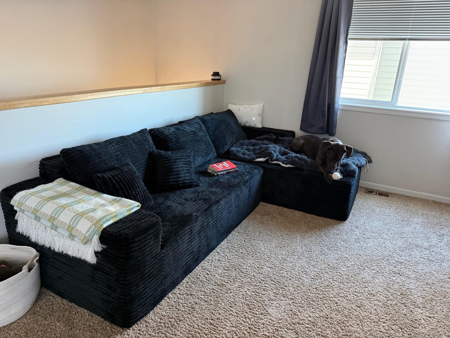 Customer photo review of Astra Sleeper Sectional Sofa