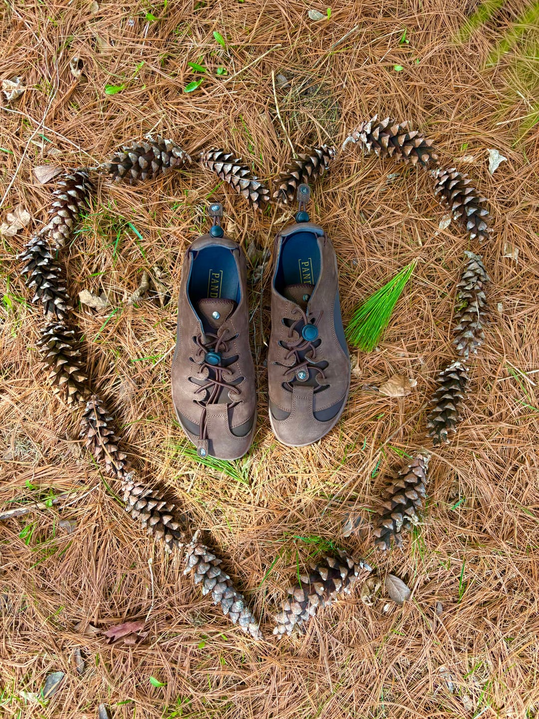 Customer photo review of Two Step