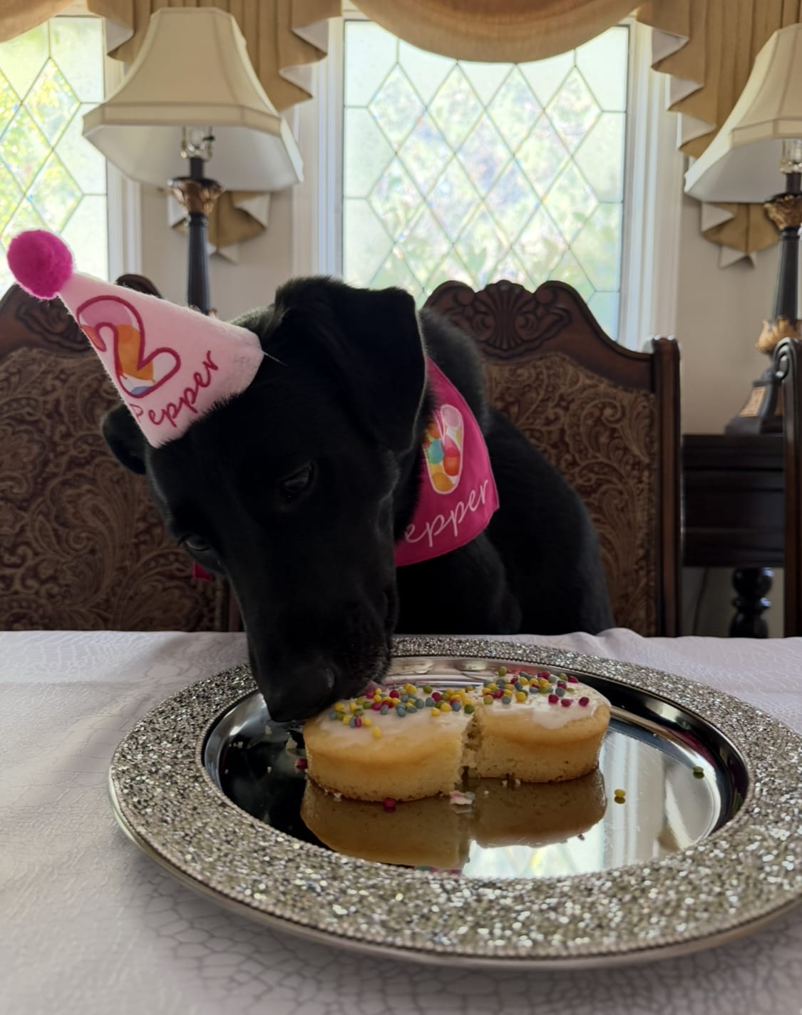 Customer photo review of Standard Personalized Dog Party Pack
