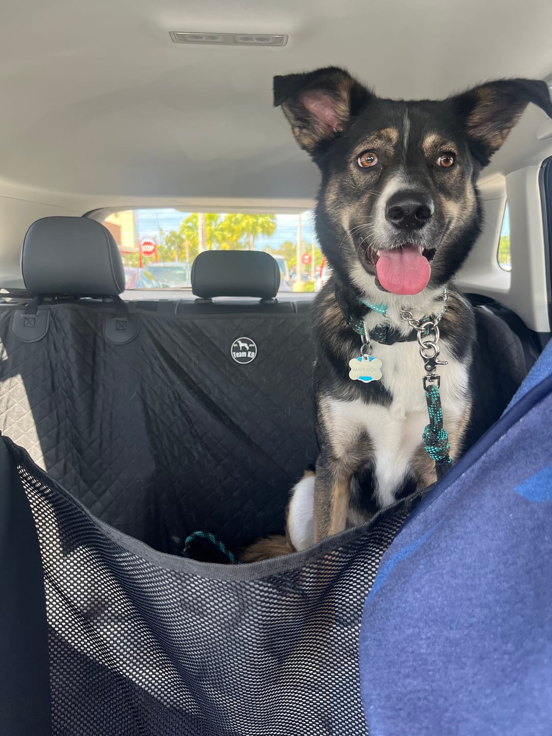 Customer photo review of NEW Waterproof Hard Bottom Car & Truck Seat Foldable Hammock Cover With Storage Pockets, Side Flaps, Headrest Straps, Seat Anchors, & Mesh Window (+FREE SAFETY BELT!)