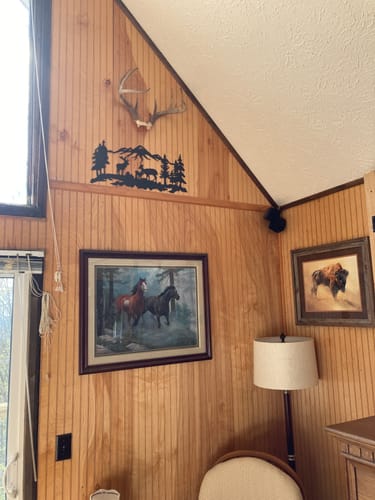 Customer photo review of Deer Grazing - Metal Wall Art