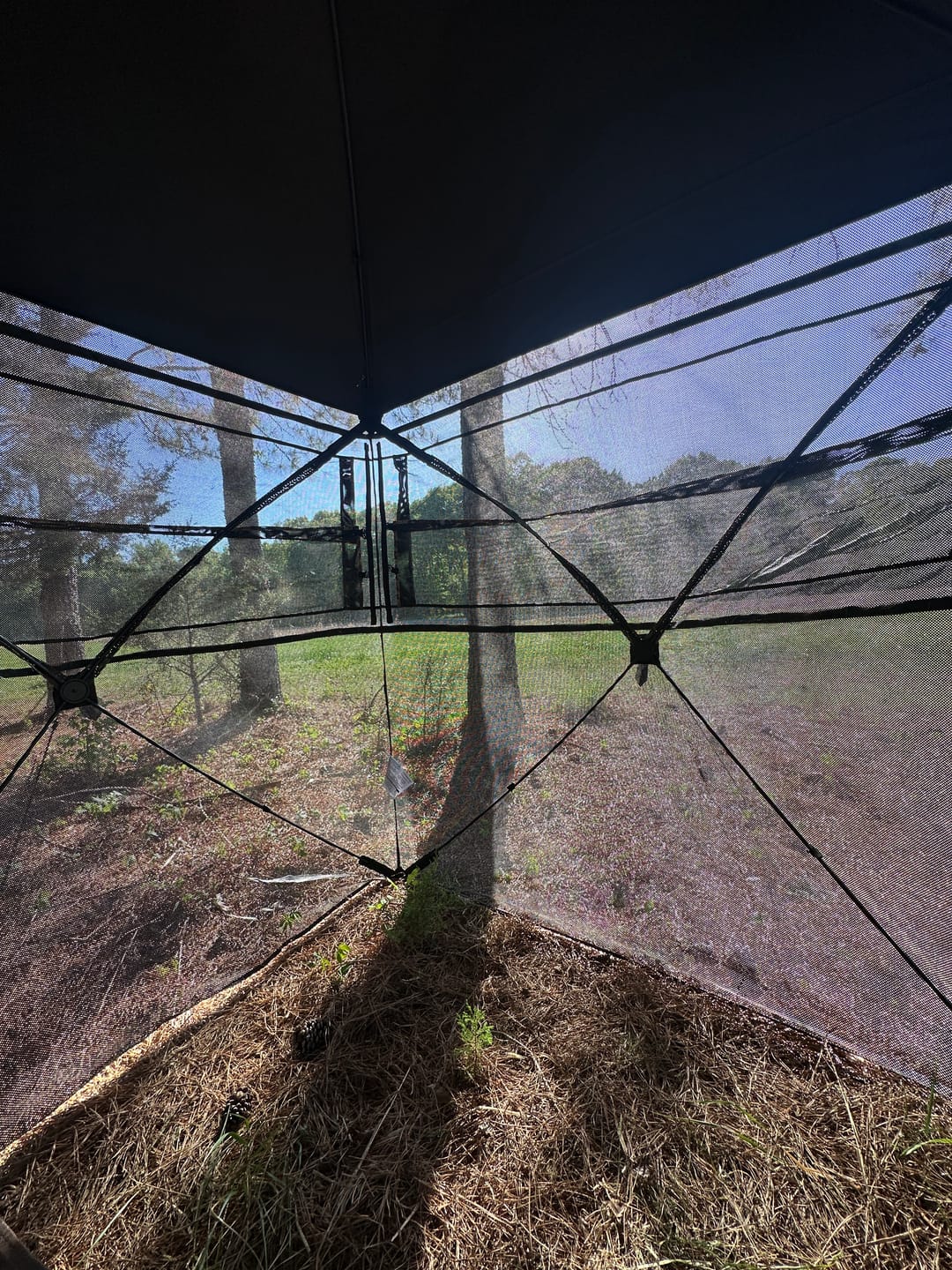 Customer photo review of VisMax See Through Blind | 270° Pop Up 3-4 Man Deer Blind | Portable Ground Blind Hunting for Sale with Hunters Comfort Design