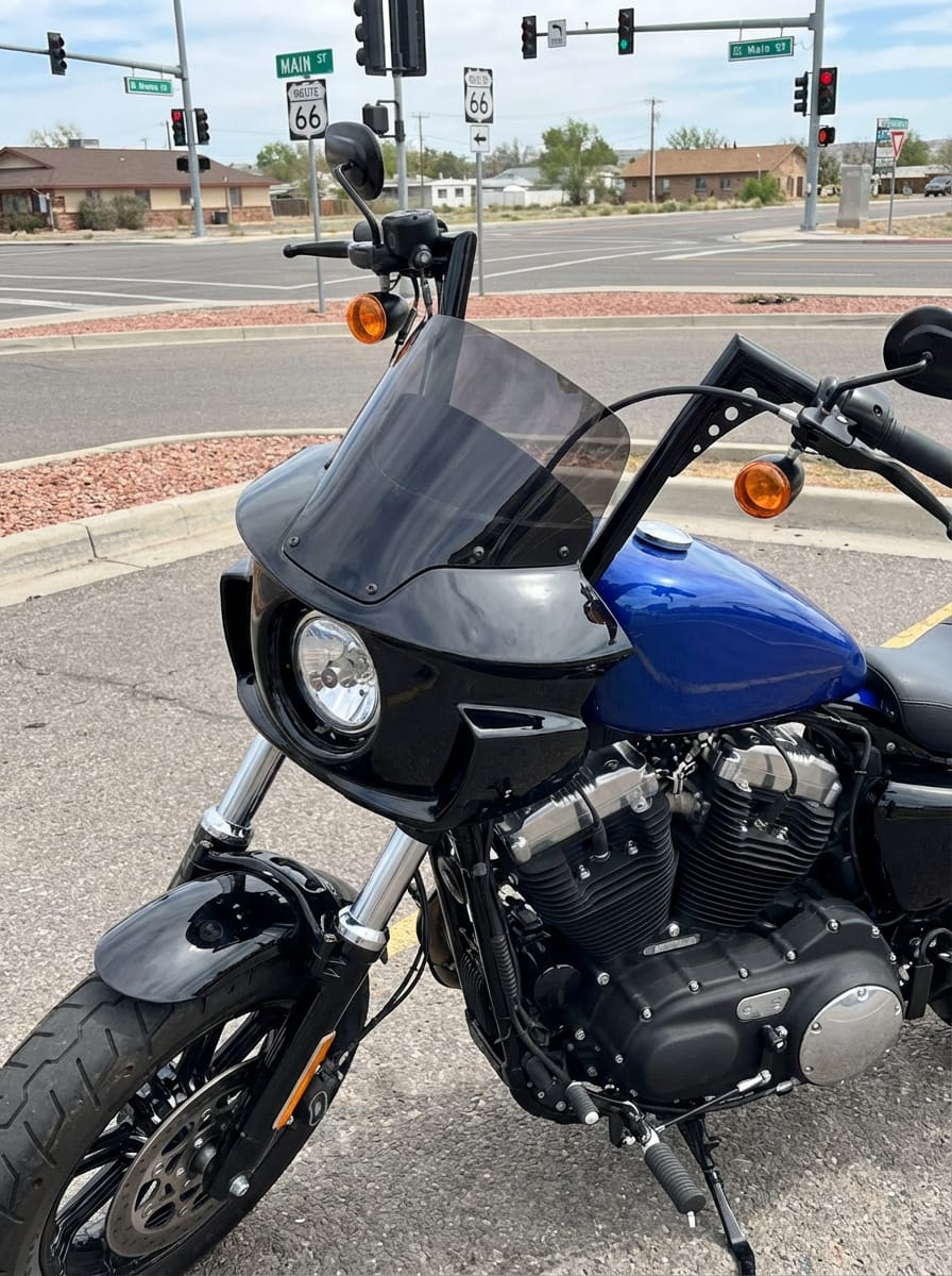 Customer photo review of Viking Darkin Motorcycle Fairing for Harley Sportster Forty Eight Gloss Black