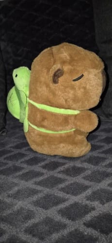 Customer photo review of Capybara Plush With Turtle Backpack