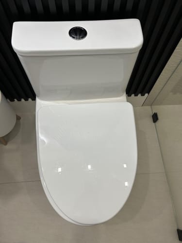 Customer photo review of Lyngen - Soft Closing Seat Concealed Tank Elongated Bowl Floor Mounted Installation Ceramic One-Piece Dual Flush Toilet