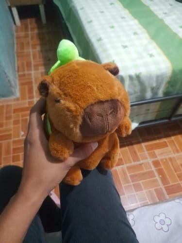 Customer photo review of Capybara Plush With Turtle Backpack