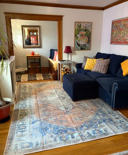 Customer photo review of Distressed Vintage Pissarro Terracotta in Blue & Beige