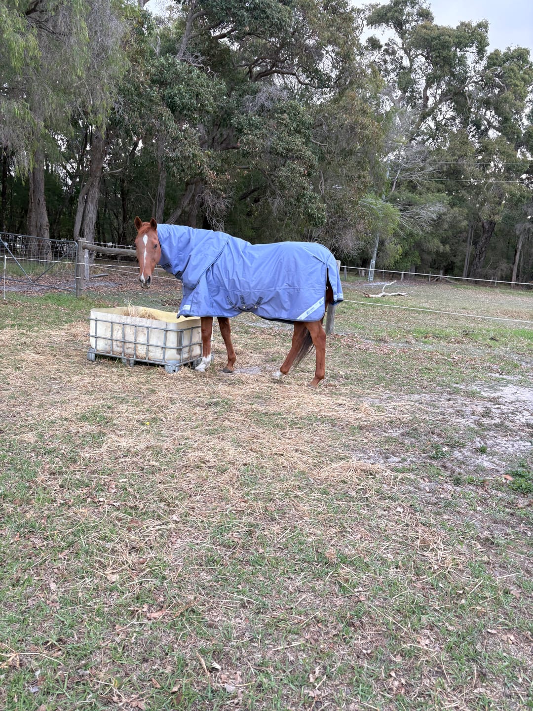 Customer photo review of LE Boxter Turnout Ripstop 50g
