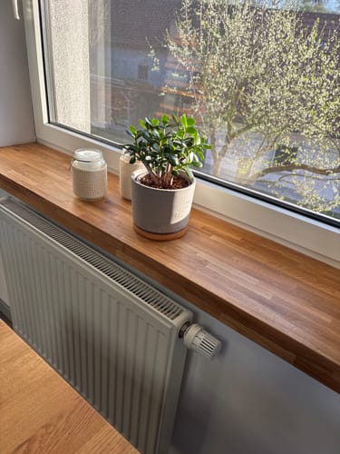 Kunde zeigt eine aus Easy-Sticks gebaute und geölte Fensterbank in einer sonnigen Wohnung.