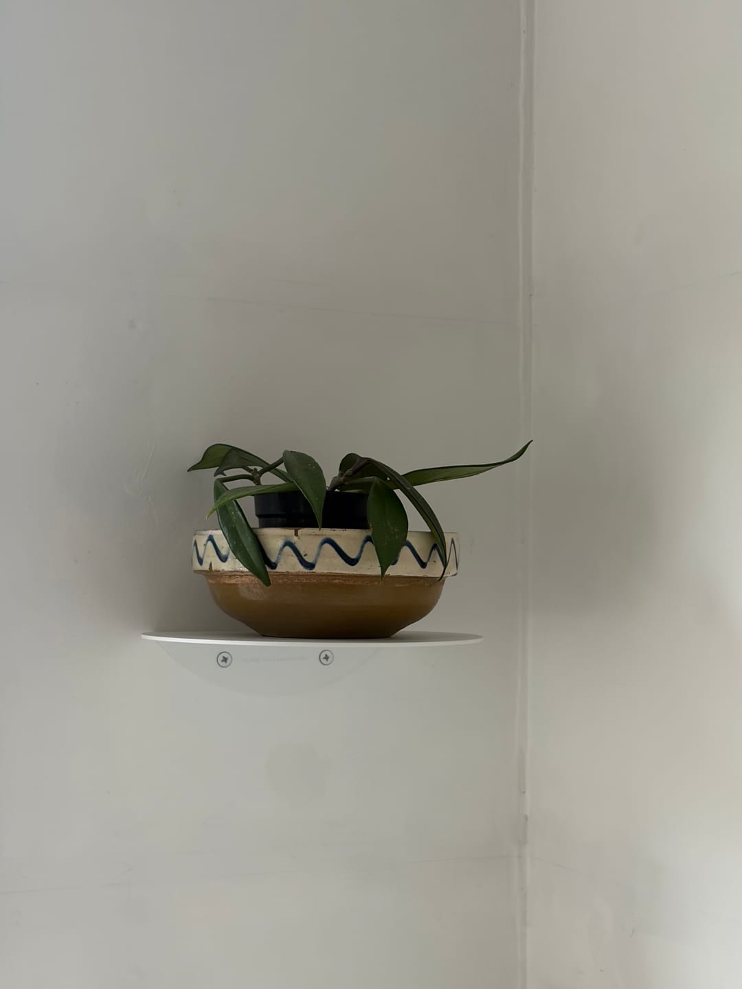 Customer photo review of FOLD Round Shelf 200