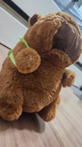 Customer photo review of Capybara Plush With Turtle Backpack