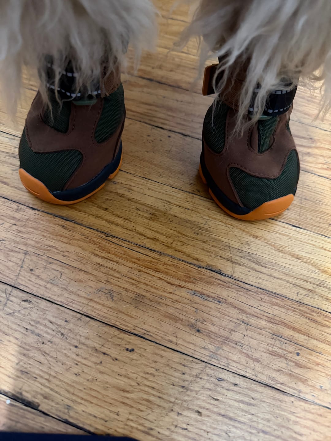Customer photo review of Apollo 1