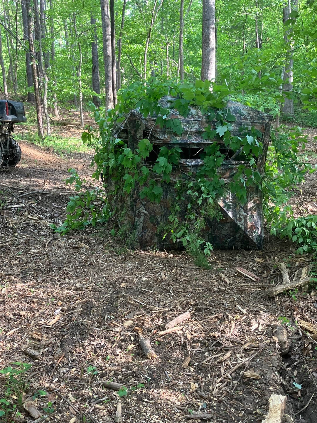 Customer photo review of VisX/VisMax See Through Hunting Blind, Pop Up Ground Deer Blind