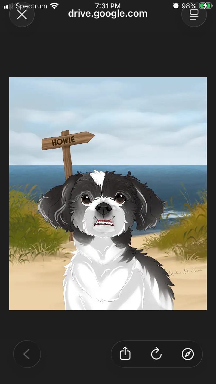 Customer photo review of Custom Cartoon Art Wrapped Pet Canvas