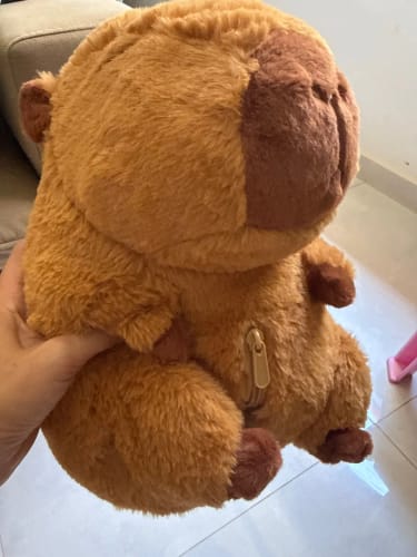 Customer photo review of Capybara Plush With Turtle Backpack
