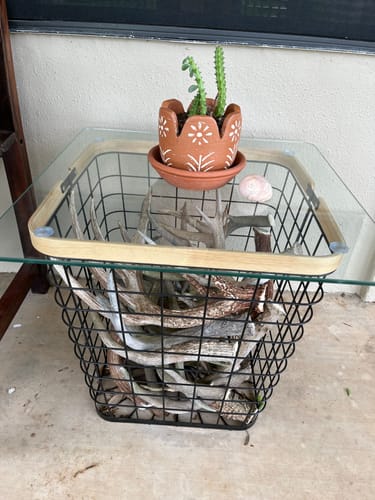 Customer photo review of Vasanta Petals Planter with Drainage - Terracotta