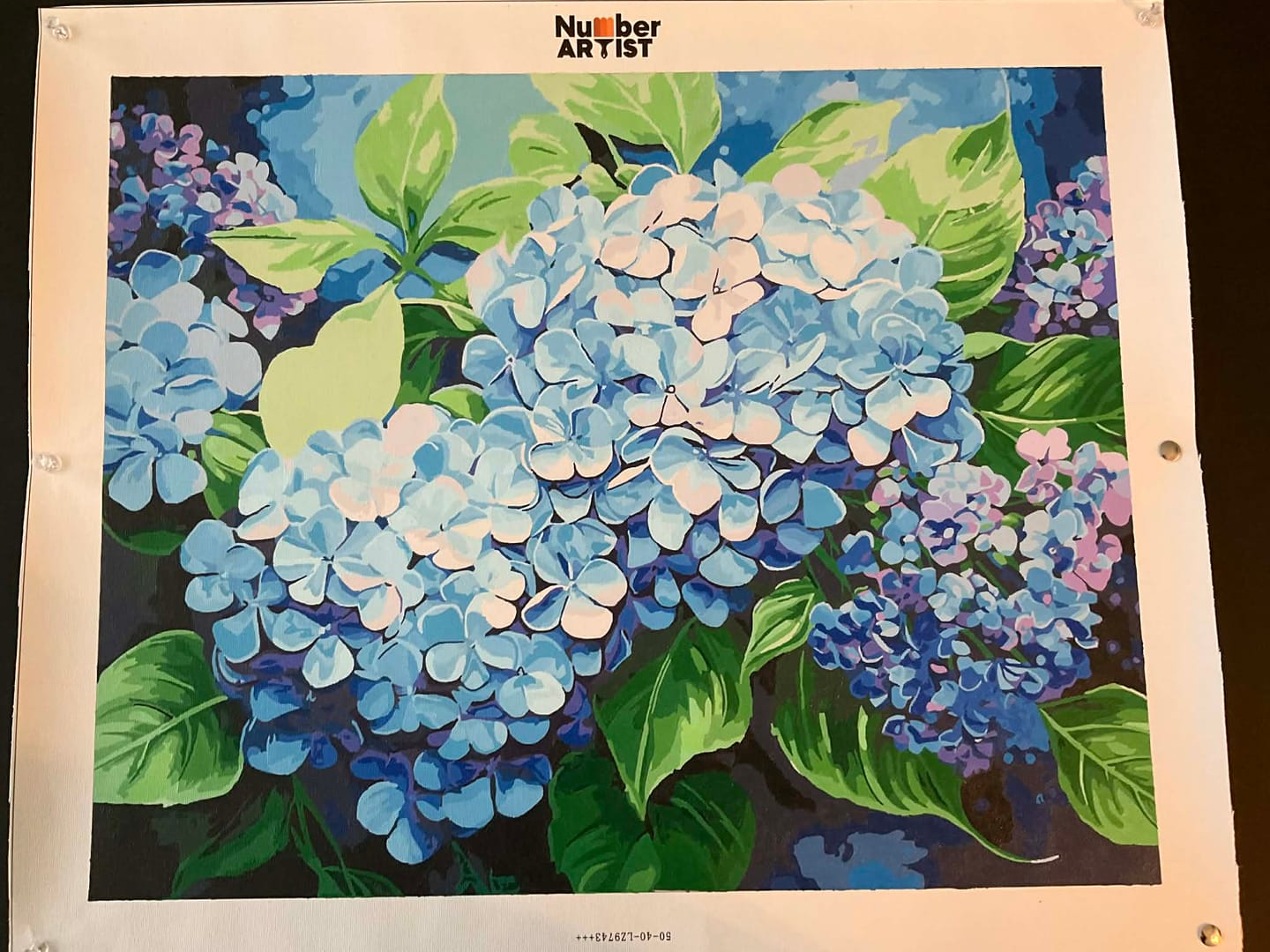 Customer photo review of Blue Hydrangea