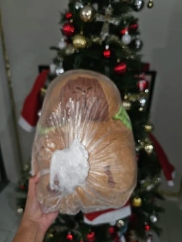 Customer photo review of Capybara Plush With Turtle Backpack