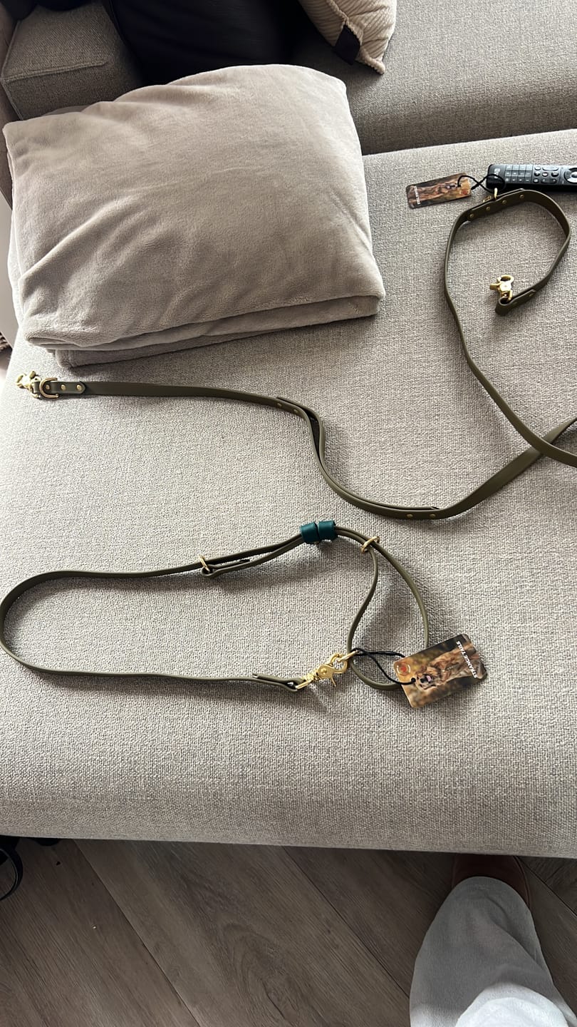 Customer photo review of Biothane Traffic Handle Dog Leash