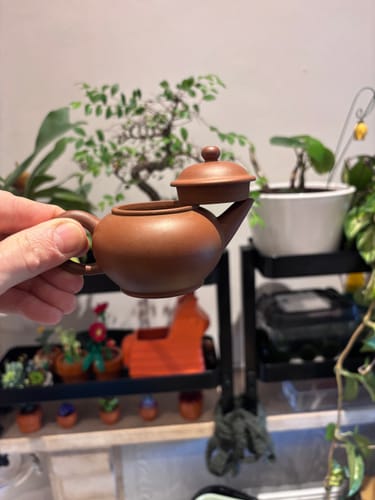 Customer photo review of Shui ping Yixing teapot 100ml