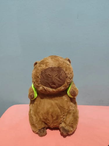 Customer photo review of Capybara Plush With Turtle Backpack