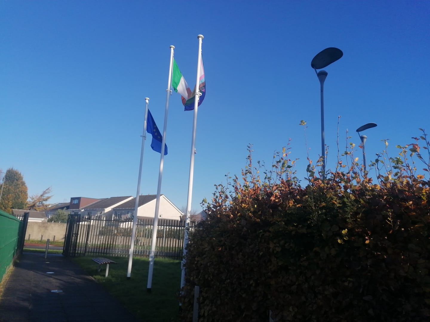 Customer photo review of Ireland National Flag