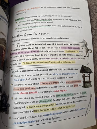 Recenzie cu fotografie de la un client despre Carte Română Bacalaureat Bacademia (temă și viziune, caracterizare, relație) - Ediția II