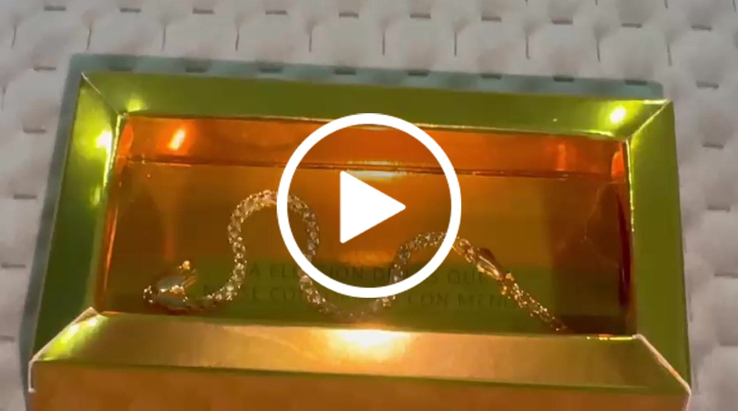 Customer video review of Pulsera Bismarck en Oro laminado 18k