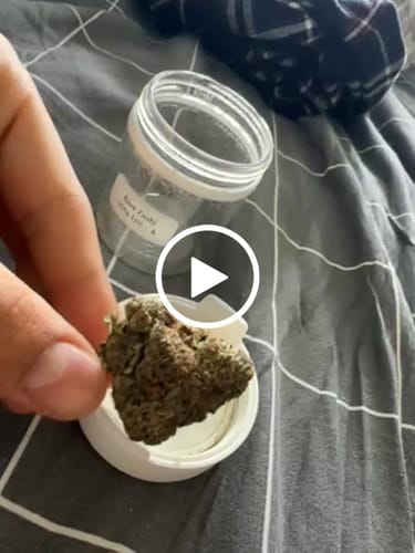 Customer video review of Blue Zushi 30% THCA