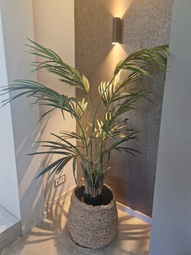 Customer photo review of Kentia Kunstpalm 150cm