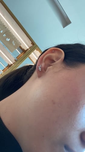 Customer photo review of Perfo 170