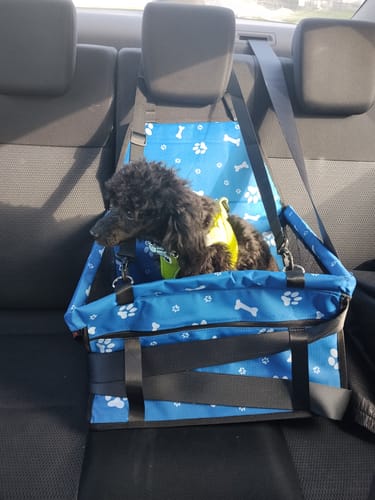 Customer photo review of Multifunkciós Hálós Kutya Autósülés