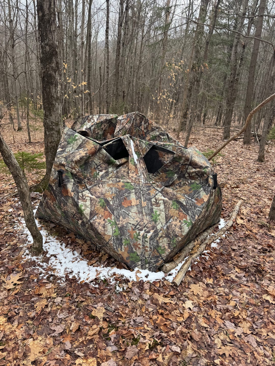 Customer photo review of FLASH SALE VisST See-Through Pop-Up Ground Blinds with Silent Magnetic Door