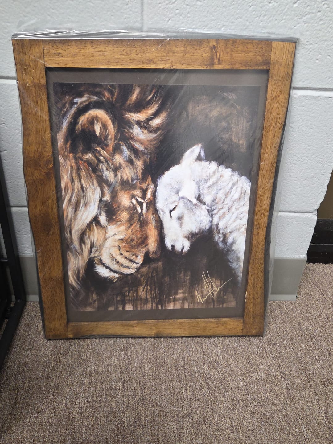 Customer photo review of Compassion of a King