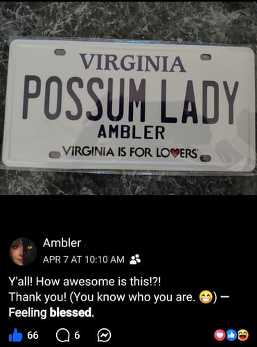 Reviewer's custom Virginia license plate for 'POSSUM LADY' with a screenshot of the recipient's positive social media post.