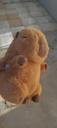 Customer photo review of Capybara Plush With Turtle Backpack