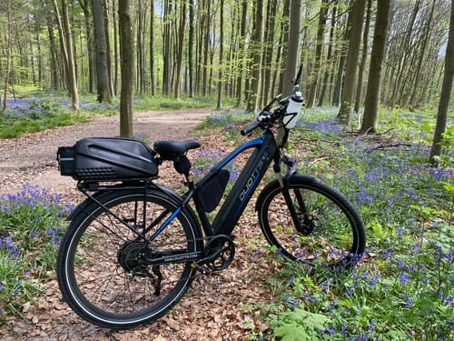 Customer photo review of DUOTTS C29Max Electric Bike