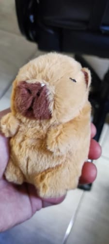Customer photo review of Capybara Plush With Turtle Backpack