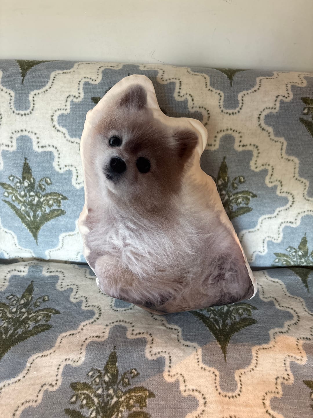 Customer photo review of Custom Dog Shaped Memorial Pillow for Pet Owners from Your Pet Picture