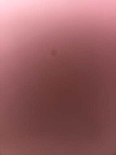 Customer photo review of DuoStyle Scrub Hat - Frolicking Bunnies